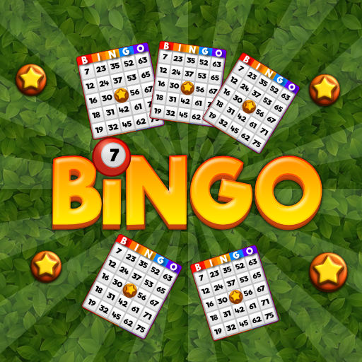 Read more about the article Bingo Revealer
