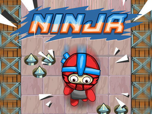 Read more about the article Ninja