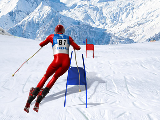 Read more about the article Slalom Ski Simulator