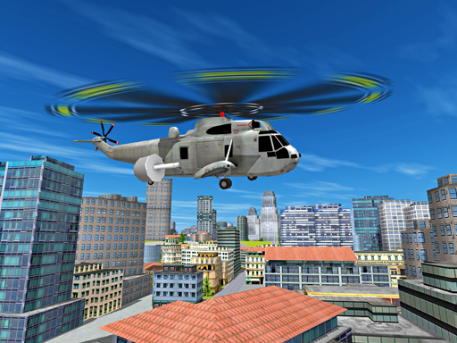 Read more about the article City Helicopter Flight