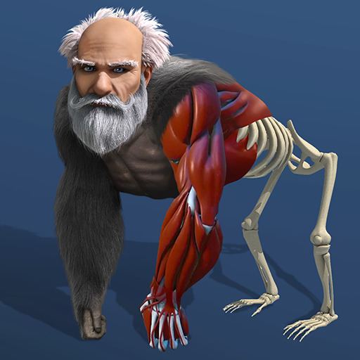 Read more about the article Idle Evolution From Cell to Human