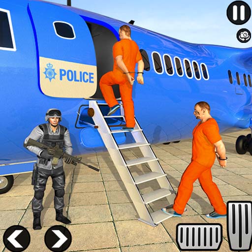 Read more about the article US Police Prisoner Transport