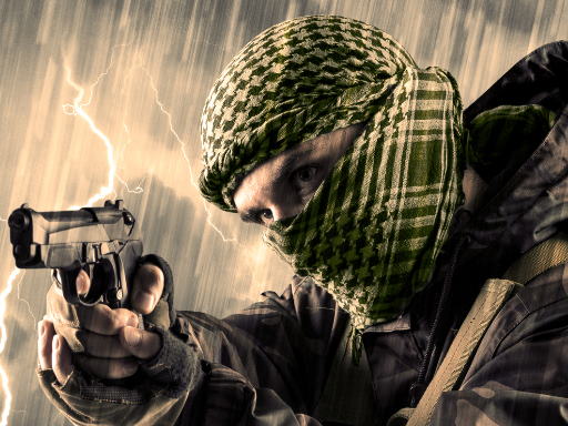 Read more about the article Terrorist Shootout