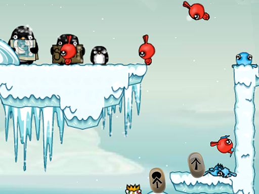 Read more about the article Dibbles 2. Winter Woes